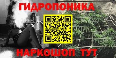 jwh Партизанск