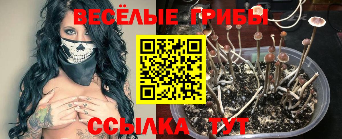 Алушта  Галлюциногенные грибы мухоморы  Вход с VPN  Псилоцибиновые грибы мицелий 