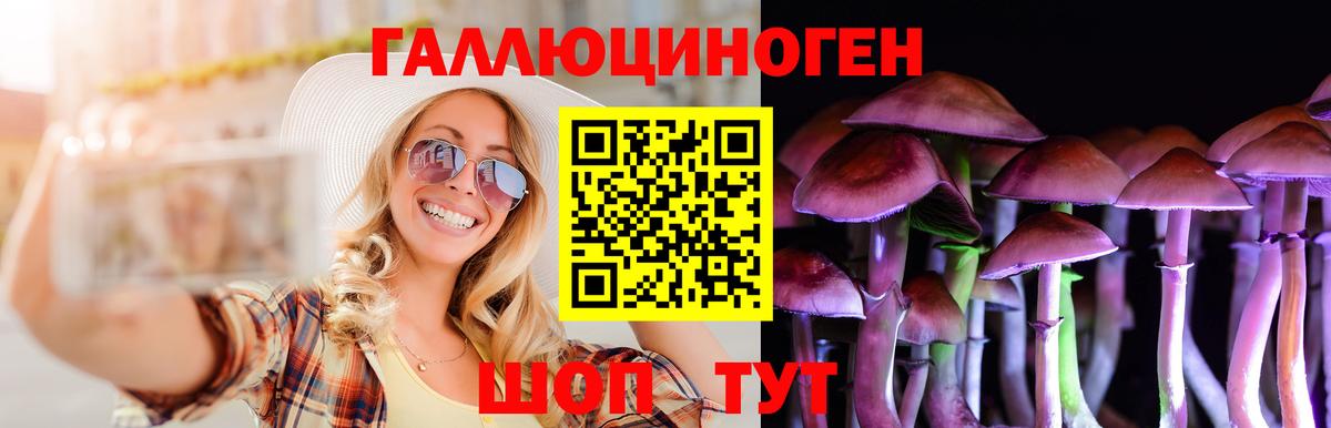 Псилоцибиновые грибы мухоморы Алушта